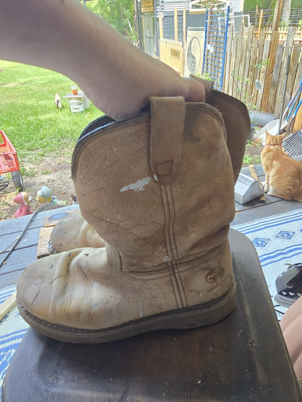 Georgia Boot ve written